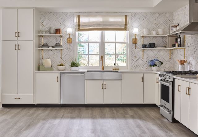 Frigidaire Professional Dishwasher Vignette Frigidaire Professional Dishwasher Vignette